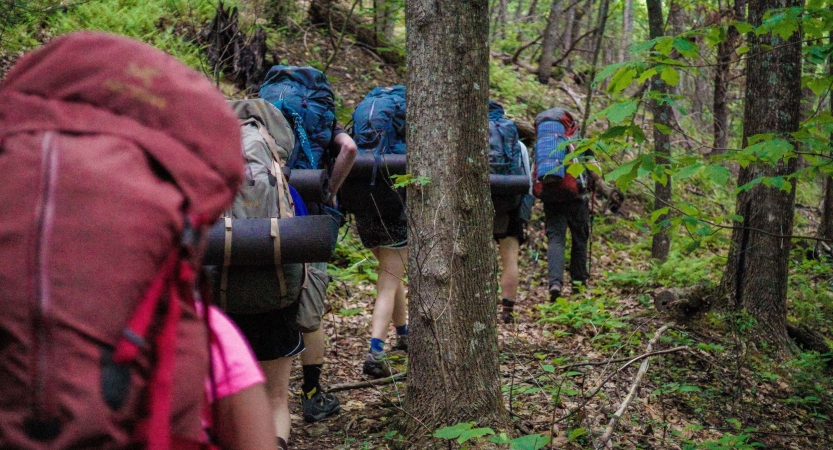 A group of people wearing backpacks hike in a line away from the camera through a green wooded area